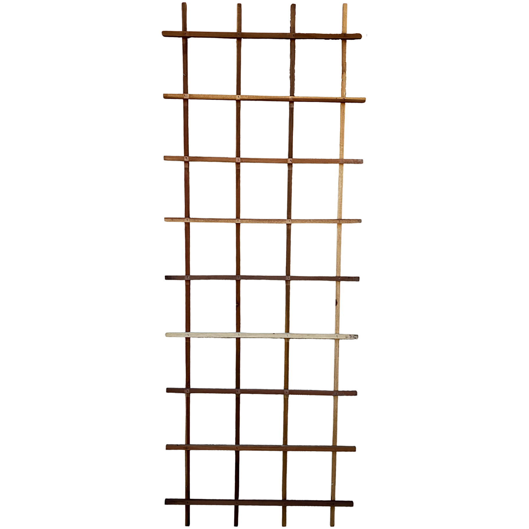 2000036980_0