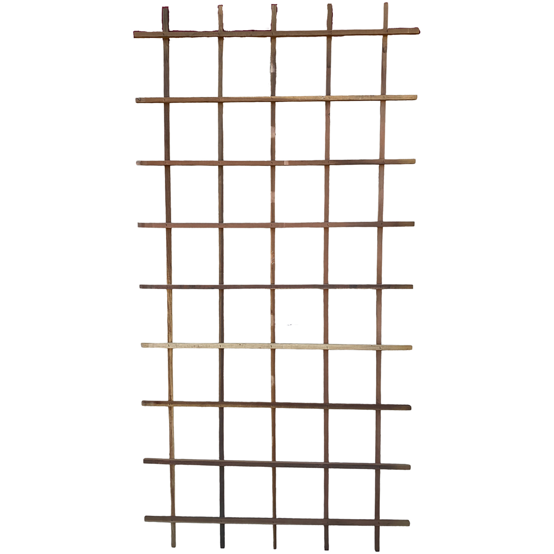 2000036981_0